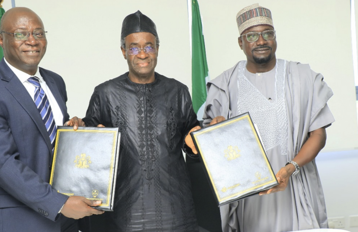 Nigeria to Build 1 GW Solar Panel Factory