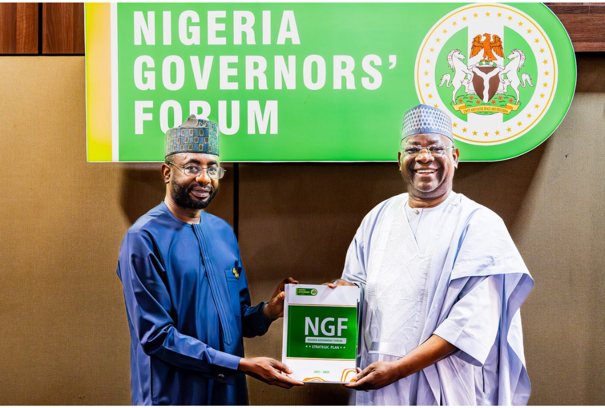 Nigeria NITDA-NGF Partnership