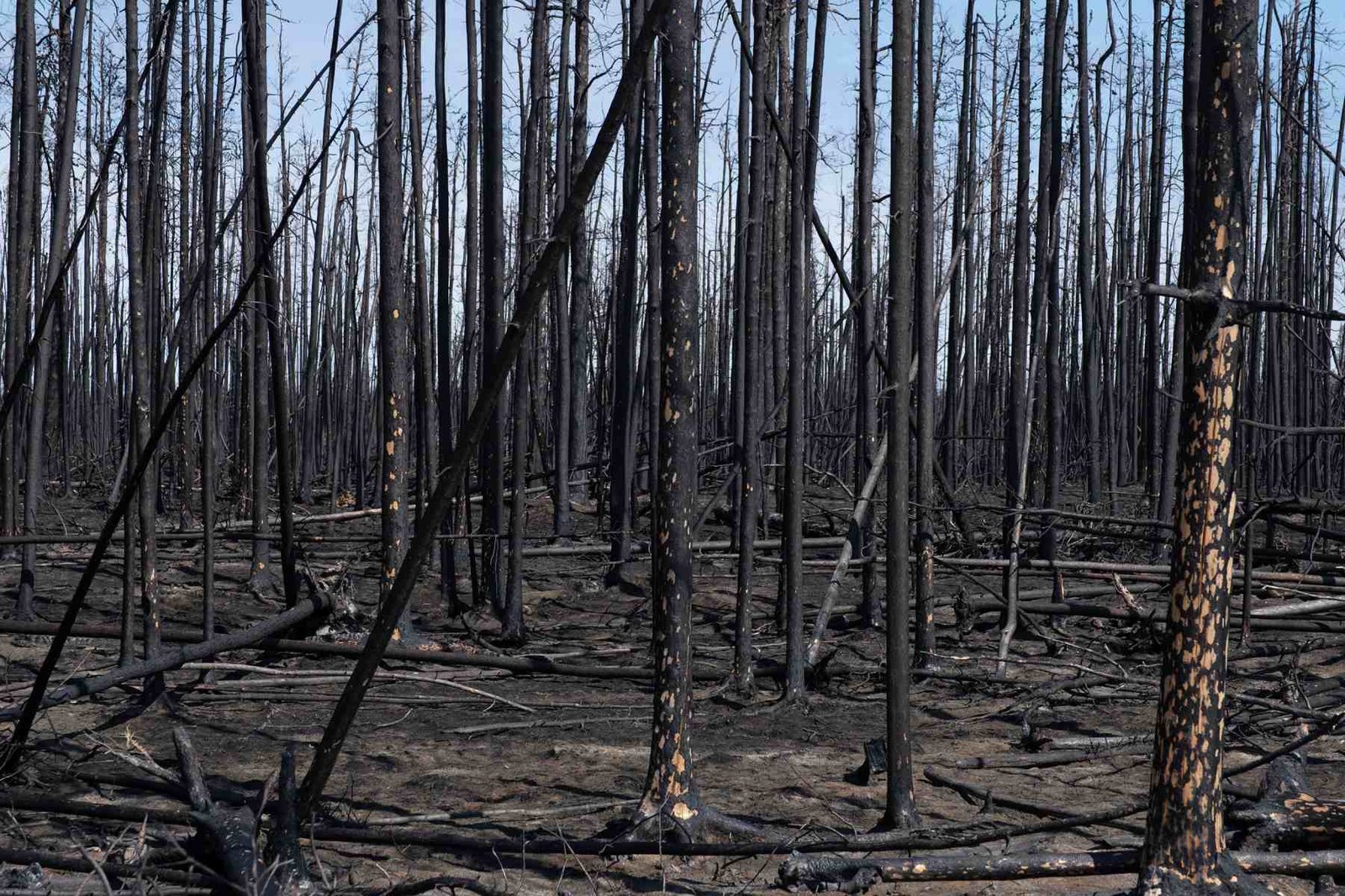 Climate Change Is Happening. Why Don’t We See It?