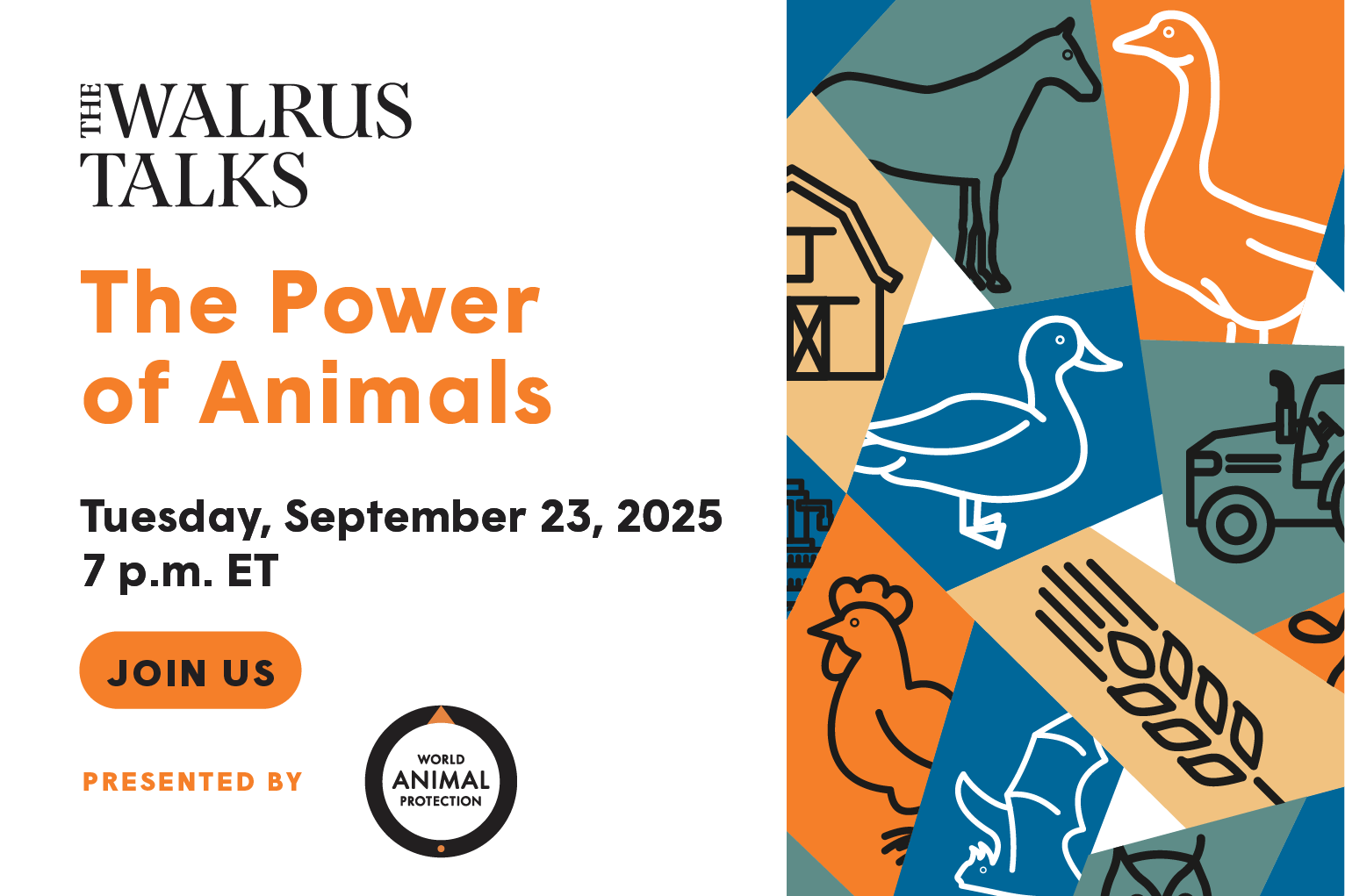 The Walrus Talks The Power of Animals