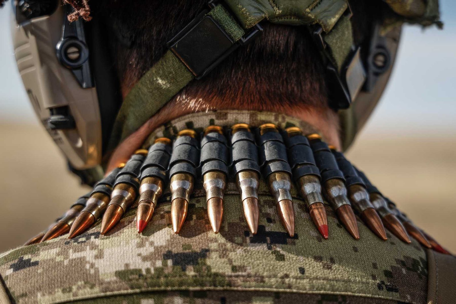 RCMP Uncovers Domestic Terror Plot with Military Links