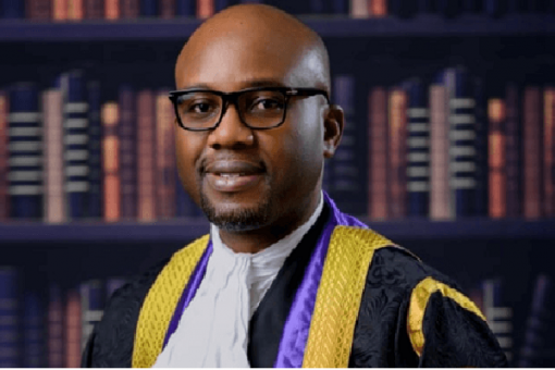 Minister Udeh Warns Nigeria Against Delays in Developing Hydrogen Economy
